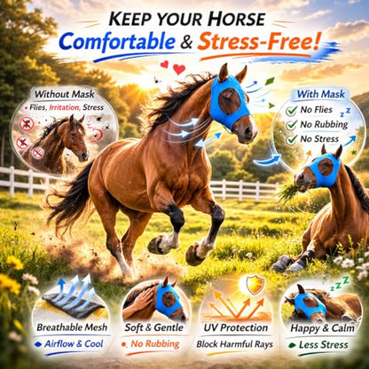 Horse Fly Mask - Arab Equine Fly Mask with Full Coverage for Eye & Ear - Stretchable, UV & Sun Protection Flymask for Horses, Ponies & Mini Horses - Horse Face Cover for Pasture & Trail - 3pack
