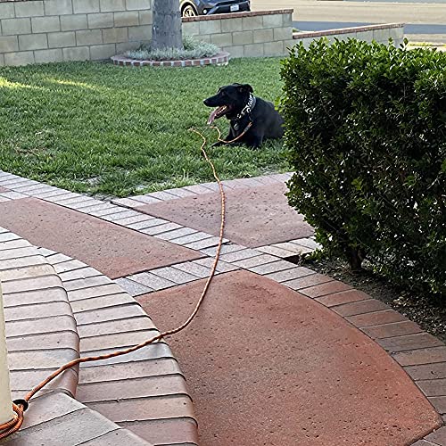 50FT Long Dog Tether + Bungee Leash Extension