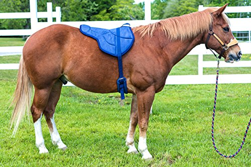 Best Friend Eastern Style Bareback Saddle Pad - color: Purple/Black, size: Horse