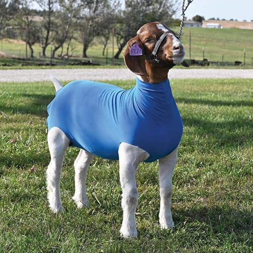 Weaver Livestock Spandex Goat Tube - size: Medium, style: Blue