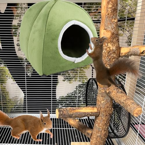 Squirrel Hideout Nest, Washable Bed & Hideaway House