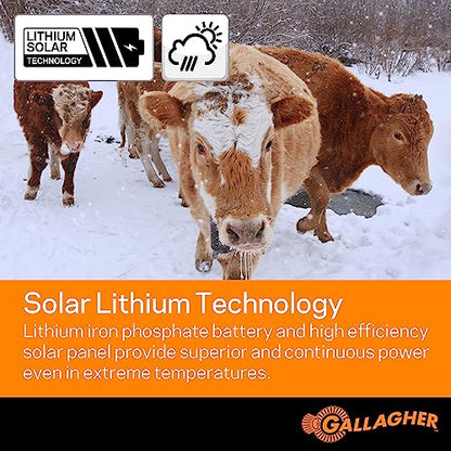 Gallagher S20 Solar Electric Fence Charger | Powers Up to 2 Miles of Typical Fence | Lithium Battery Technology | 0.2 Joule Solar Energizer for Poultry, Livestock, Gardens, and Pets