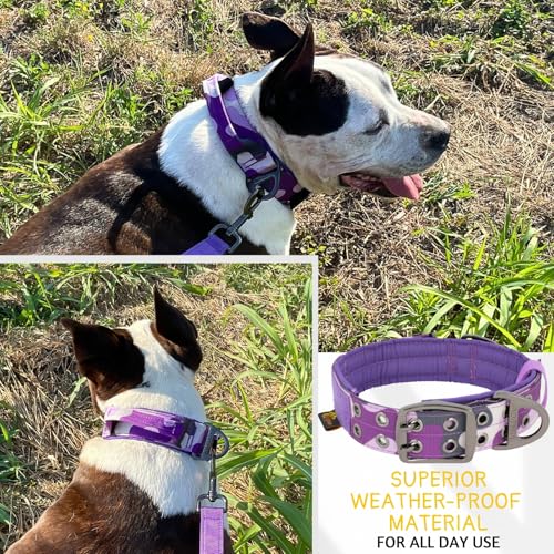 ADITYNA Heavy Duty Purple Dog Collar for Medium Dogs with Traffic Handle - color: Camo Purple, size: Medium: Fit 15-19" Neck