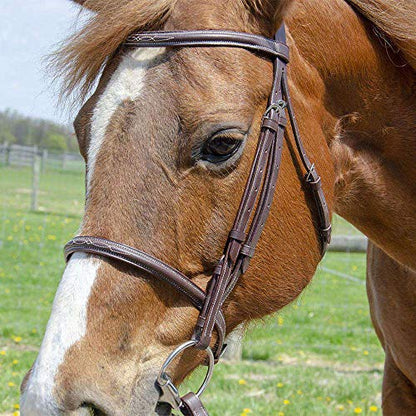 Everyday Raised Fancy Stitched Leather English Schooling Bridle with Laced Reins St. Steel Hardware with 1 Year Warranty. - color: Havana, size: Warmblood