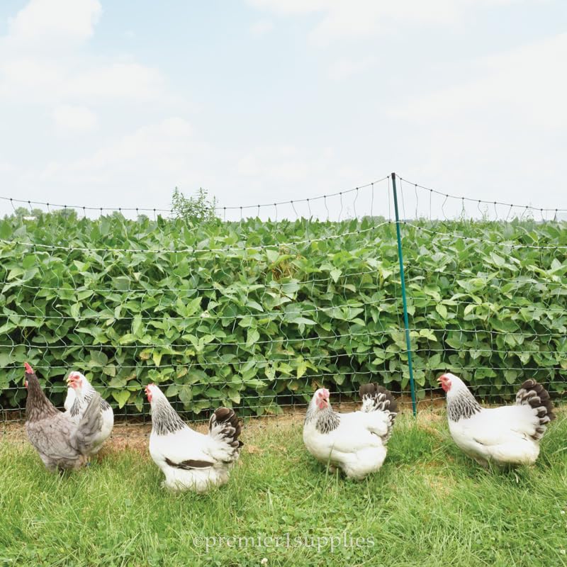 Premier 1 PoultryNet® Plus, Starter Kit for Chickens – 48"H x 100'L