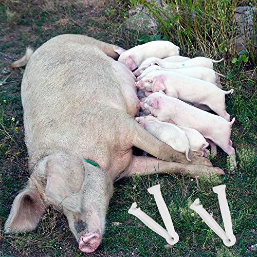 50pcs Disposable Umbilical Cord Clamp Birth Hemostatic Materials,Pig Umbilical Cord Clamp for Animals Puppy Kittens Cow Livestock Sheep,Home Birth Supplies kit，White, 5x1cm