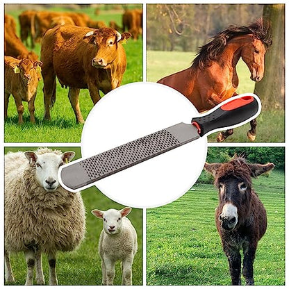 MDEOOSKY 12.5 Inches Horseshoe File, Horseshoe File with Rubber Handle, Double-Sided Hoof Rasp File, Farrier Supplies Tool for Repair Horse Hooves, Goat Hooves, Cow Hooves and Wood Working