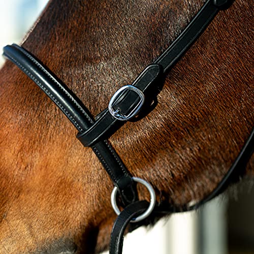 HORZE Genuine Leather Cross-Under Bitless Bridle | Includes Web Reins with Hand Stops - size: Pony
