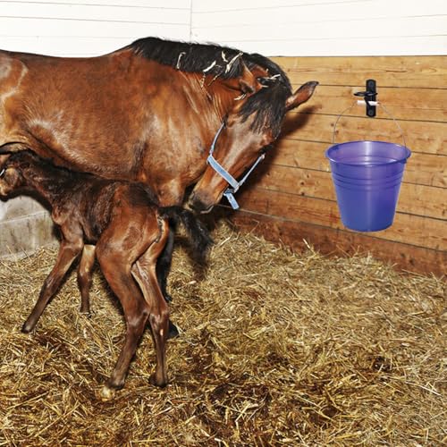 8 Pcs Bucket Hooks for Horses Metal Equestrian Water Bucket Hook Hangers Horse Stalls Feed Barn Farmhouse Supplies (Black)