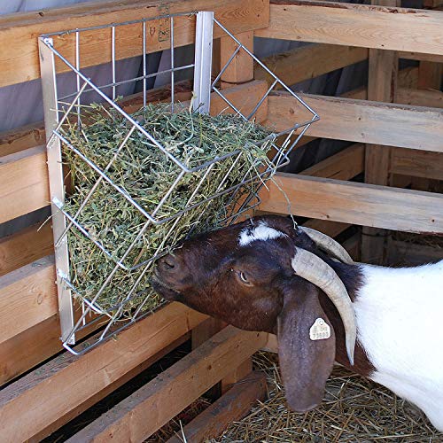 Rugged Ranch 4-Pack Galvanized Steel Livestock Hay Feeder Racks for Goats, Sheep, Horses and Cattle – 21"x16"x12", Silver, Wall-Mounted, Rust-Resistant, Lightweight and Stackable - size: 4 Pack