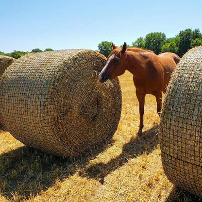 FRUITEAM 6 * 6 ft Round Bale Hay Net for Horses, Round Bale Feeder with 2 inch Hole, Hay Nets for Horses, Goats and Cattles, Knotless Design - Mouth-Safe for Horses with Repair Tool