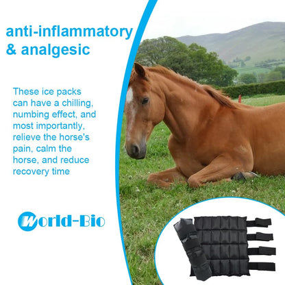 WORLD-BIO Horse Ice Boots, Cold Therapy Leg Wraps for Hocks/Ankles/Knees - Durable, Flexible, Universal Fit, Relieves Tendon Inflammation & Swelling, Post-Operative Recovery - Black - color: 16.9'' X 16.1'' 2 Packs - Black
