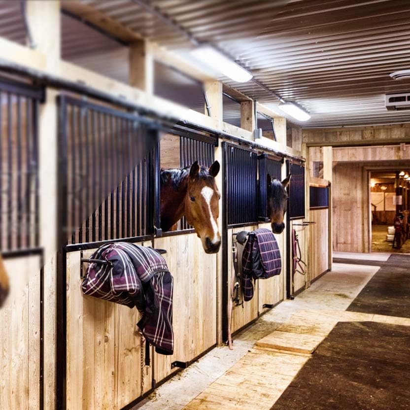 2Pcs Blanket Rack with Tack Rack,Wall Mounted Blanket Bar for Hanging Horse Blankets Pads Saddle Blankets,33.8 Inch