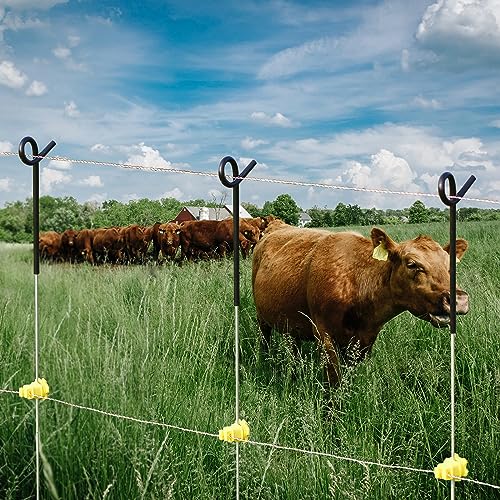 30PCS 41" Electric Fence Step-in Pigtail Posts, Single Rope Stakes | Stainless Steel · Portable Pig Tail Design · For Garden, Farm, Flower Beds, Walkways, Fountains & Temporary Electric Fencing - color: Black