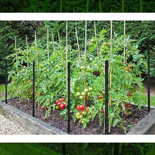 Sintuff 50 Pack Electric Fence Posts, 40 Inch Plastic Step in Heavy Duty Sturdy Fence Posts for Farm Garden Yard Temporary Outdoor Wire Fencing(Black) - color: Black