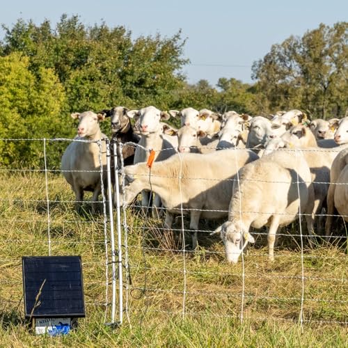 Premier 1 Solar IntelliShock® 100 Fence Energizer – 1.0J, 15W Panel