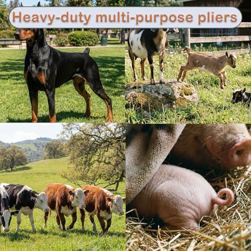 Goat Banding Kit, Livestock Castration Bander with Stainless Steel Expander Pliers, 120Pcs 2 Sizes Castrator Rings and Ring Installation Tool for Goats, Lambs, Calves, Sheep, Piglets - style: Pliers，60-S, 60-M
