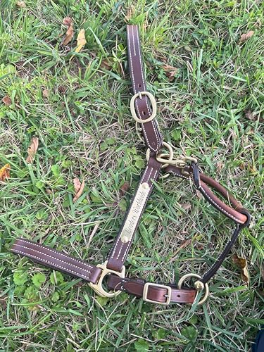 Leaders Leather Halter for Horses with Customized Engraved Name Plate Option Halter for Horse - size: Oversize/Large Horse