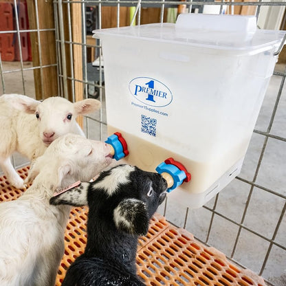 Premier 1 Lamb 'N' Goat Kid Prima Orphan Feeding Bucket – 2.5 Gal, Square - size: 2.5 Gallon Square - 4 Holes