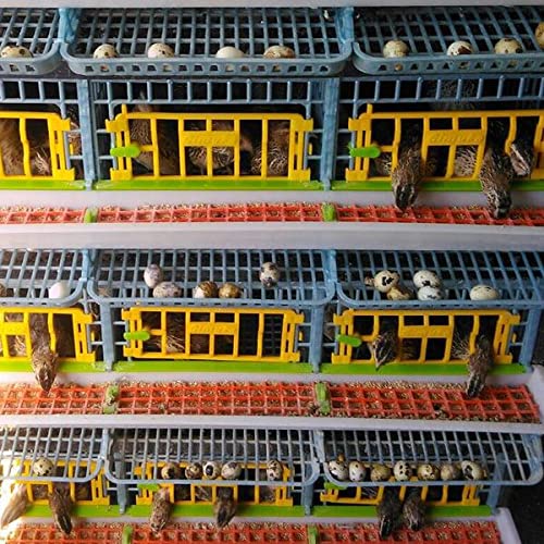 Hatching Time Quail Breeding Cage Indoor - 4 Layer Stackable Quail Coop, Easy Clean, Rust-Free, Egg Roll-Out Tray, Power-Washable PP Plastic Quail Pens with Frame & Wheels, Comfortplast by Cimuka - style: Traditional