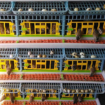 Hatching Time Quail Breeding Cage Indoor - 4 Layer Stackable Quail Coop, Easy Clean, Rust-Free, Egg Roll-Out Tray, Power-Washable PP Plastic Quail Pens with Frame & Wheels, Comfortplast by Cimuka - style: Traditional