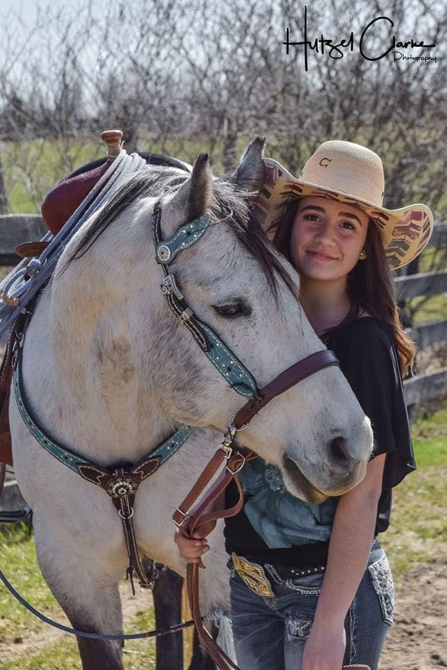 Thinline Bitless Noseband - color: Dark Brown, size: Horse