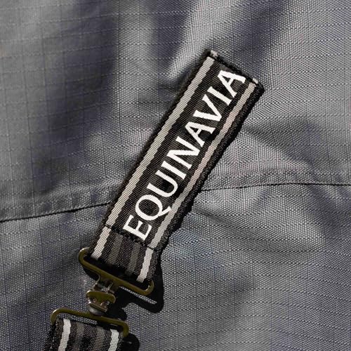 Equinavia Arktis Regular Neck Turnout Sheet - Carbon Gray - 69 in - color: Carbon Gray, size: 69 in