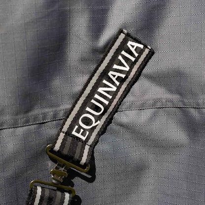 Equinavia Arktis Regular Neck Turnout Sheet - Carbon Gray - 69 in - color: Carbon Gray, size: 69 in