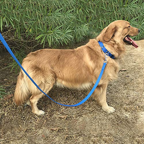 Waterproof Dog Training Leash 50FT 30FT 15FT 10FT 5FT Heavy Duty Recall Long Lead for Large Medium Small Dogs (5FT, Blue) - color: Blue, size: 5FT