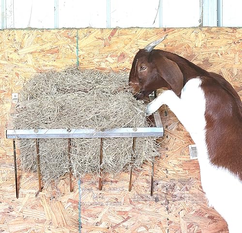 24 Inch Wall Mounted Sheep & Goat Two Flake Hay Feeder USA Texas Made Quality Aluminum