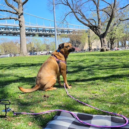 BTINESFUL 8/12/20/30/50/75ft Dog Tie-Out Long Tether Rope Dog Lead for Yard - color: Pink Blue, size: 12 Foot