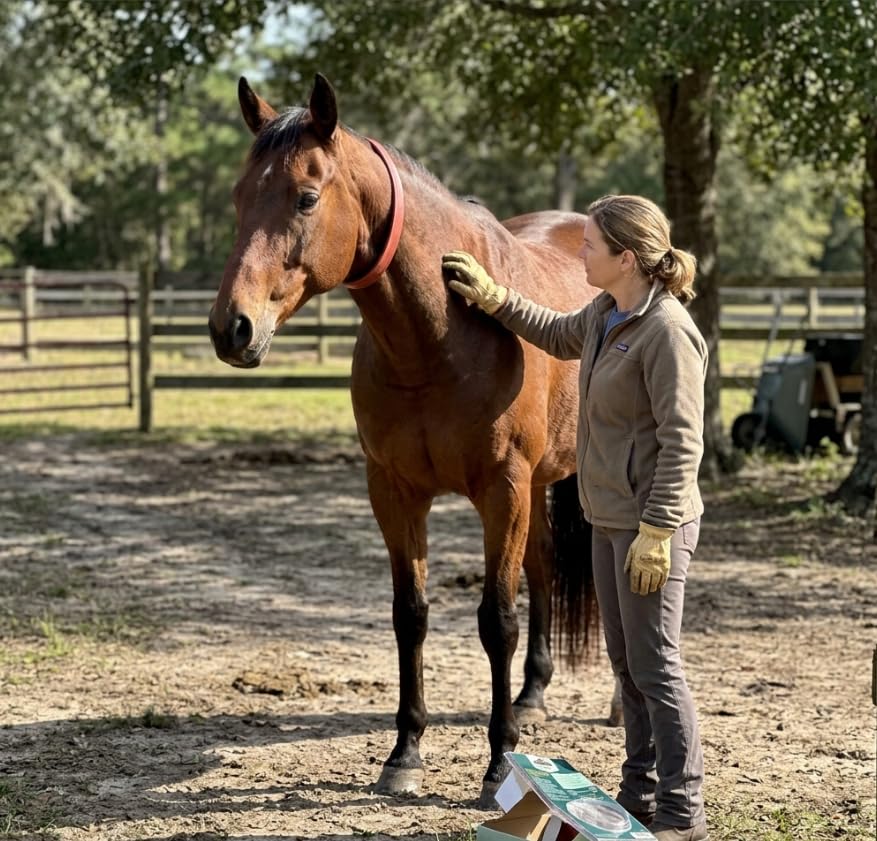 Herbal Horse Collar, Waterproof, 30-Day of Well Being, 40.2 Inches