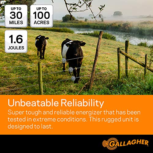 Gallagher M160 Electric Fence Charger | Powers Up to 30 Miles / 100 Acres of Clean Fence | 1.6 Joules, 110 Volt Energizer | Unbeatable Reliability | Tough Outer Casing Mounting