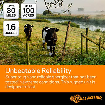 Gallagher M160 Electric Fence Charger | Powers Up to 30 Miles / 100 Acres of Clean Fence | 1.6 Joules, 110 Volt Energizer | Unbeatable Reliability | Tough Outer Casing Mounting