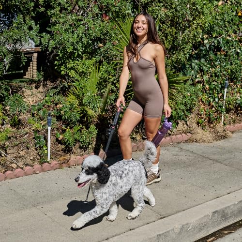 BOTTLE BOTTLE Insulated Water Bottle with Handle 24 oz gray - color: gray