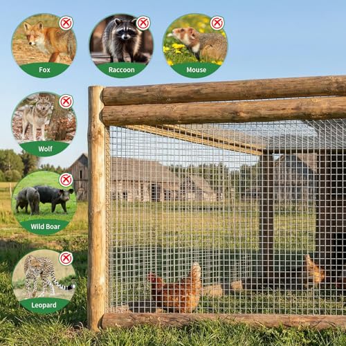 Land guard 19 Gauge Hardware Cloth, 1 inch 48inch×100ft Chicken Wire Fence, Galvanized Welded Cage Wire Mesh Roll Supports Poultry Netting Cage Fence - color: Galvanized, size: 1 Inch 48inch×100ft