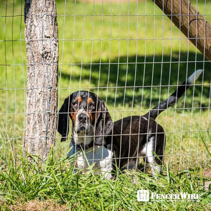 Fencer Wire Welded Wire Fence 12.5 Gauge, Galvanized Welded Fence Wire Roll, Mesh Size 2-Inch x 4-Inch, Hog Wire Fencing Cage, Multiple Use for Home Improvement & Animals Enclosure (2ft. x 50ft.) - style: 2 ft. x 50 ft.