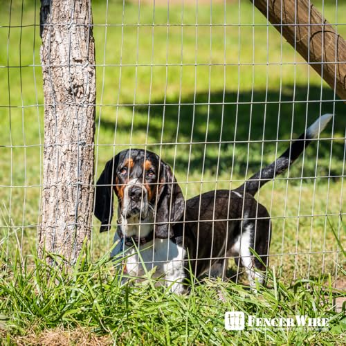 Fencer Wire Welded Wire Fence 12.5 Gauge, Galvanized Welded Fence Wire Roll, Mesh Size 2-Inch x 4-Inch, Hog Wire Fencing Cage, Multiple Use for Home Improvement & Animals Enclosure (6ft. x 50ft.) - style: 6 ft. x 50 ft.