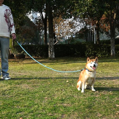 ZALER Rope Dog Leash, 4/5/6/10/15/20/30/50 Foot Heavy Duty Dog Leashes with Carabiner, Nylon Pet Lead for Large and Medium Dogs (6FT, Black Purple) - color: Black Purple, size: 6FT*1/2"