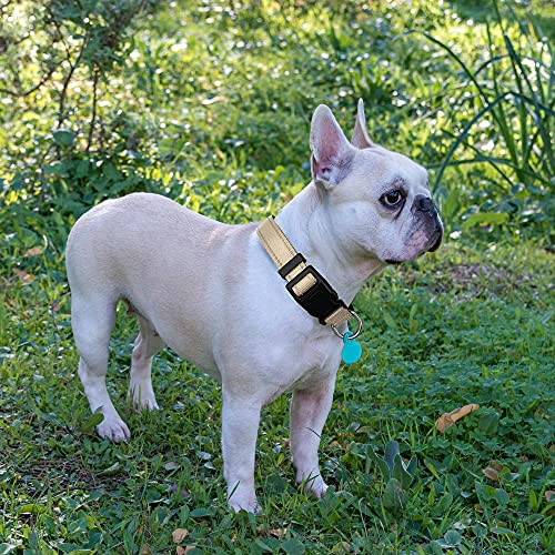 Ladoogo Reflective Dog Collar Padded with Soft Neoprene Breathable Adjustable Nylon Dog Collars for Small Medium Large Dogs (Small (Pack of 1), Beige Collar+Leash) - color: Beige, size: Small