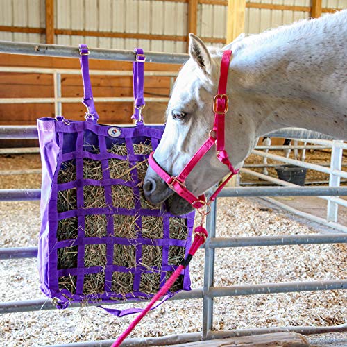 Majestic Ally Halter with Lead Rope for Horses–Adjustable Chin and Crown–Rolled Throat Latch with Replaceable Snap–Padded Noseband–Heavy Duty Rose Gold Finish Hardware - color: Purple