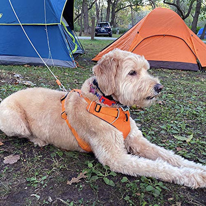 BV Dog Tie Out Cable 25 Feet - Heavy Duty Dog Lead Up to 90 Pounds - Reflective & Rust-Free with Quick Release Swivel Clips & 360° Rotating Clasp - Tangle-Free Dogs Runner for Yard (Silver, Pair) - color: 90lbs/ 25ft/ Silver, style: Pair