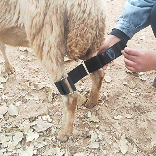 Goat Hobbles Binding Tool for Milk A Difficult Goat