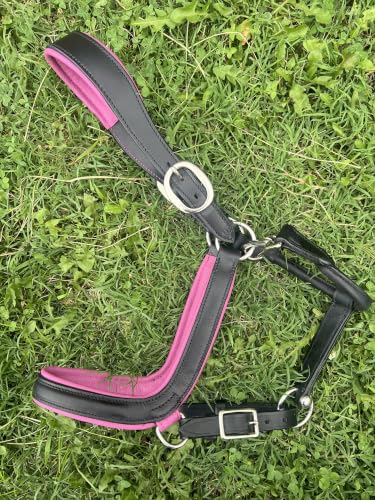 Leaders Padded Curved Leather Halter with Customized Engraved Name Plate Ergonomic Leather Halter for Horses - size: Horse Size Black/Pink