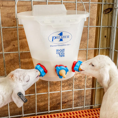 Premier 1 Lamb 'N' Goat Kid Prima Orphan Feeding Bucket – 2 Gal, Round - size: 2 Gallon Round - 3 Holes