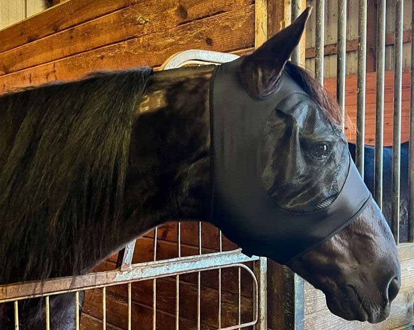 Stretchable Fly Mask - color: Black, size: Mini