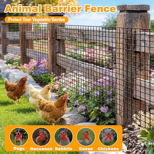 Black PVC Coated Welded Wire Fencing, 36in High x 100ft Long, 2 inch x 2 inch 16GA 2/3/4/5/6 Ft Tall Welded Wire Fence Rolls, Black Metal Garden Fence Wire Roll Garden Fencing for Yard - color: Black, size: 2"x2" 16GA 36" x 100'