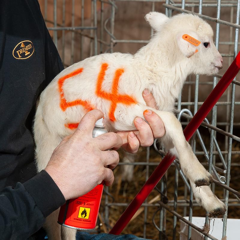 Sprayline Marking Paint for Sheep & Livestock (400mL - Orange) - style: 400mL - Orange