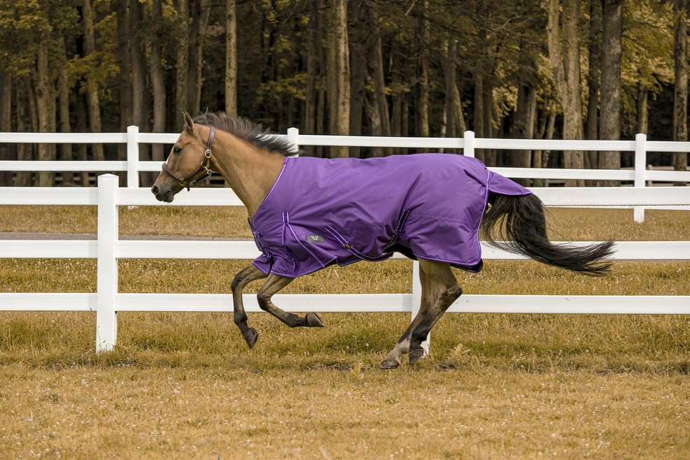 TuffRider 600 D Comfy Winter Turnout Blanket Medium Weight 200 GSM Standard Neck - color: Purple, size: 69