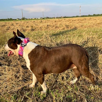 ADITYNA Heavy Duty Dog Collar for Medium Dogs with Traffic Handle - color: Camo Pink Purple, size: Medium: Fit 15-19" Neck